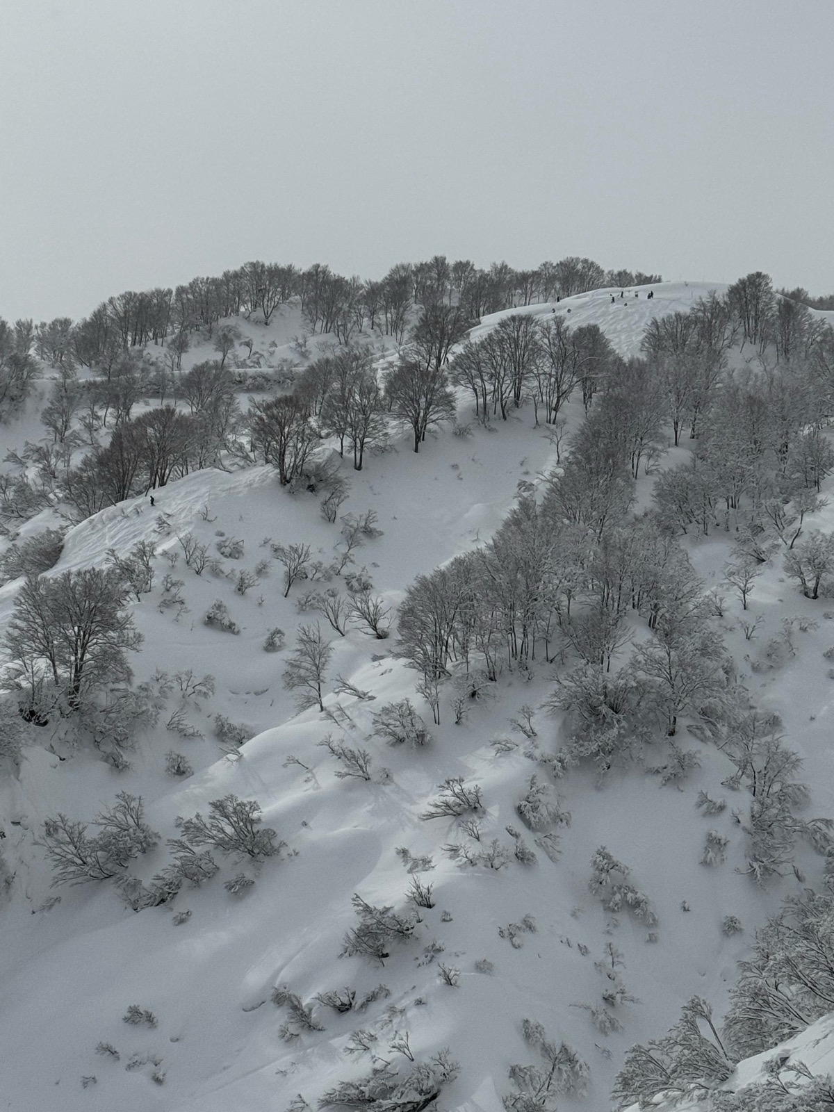 ロッテ アライリゾート