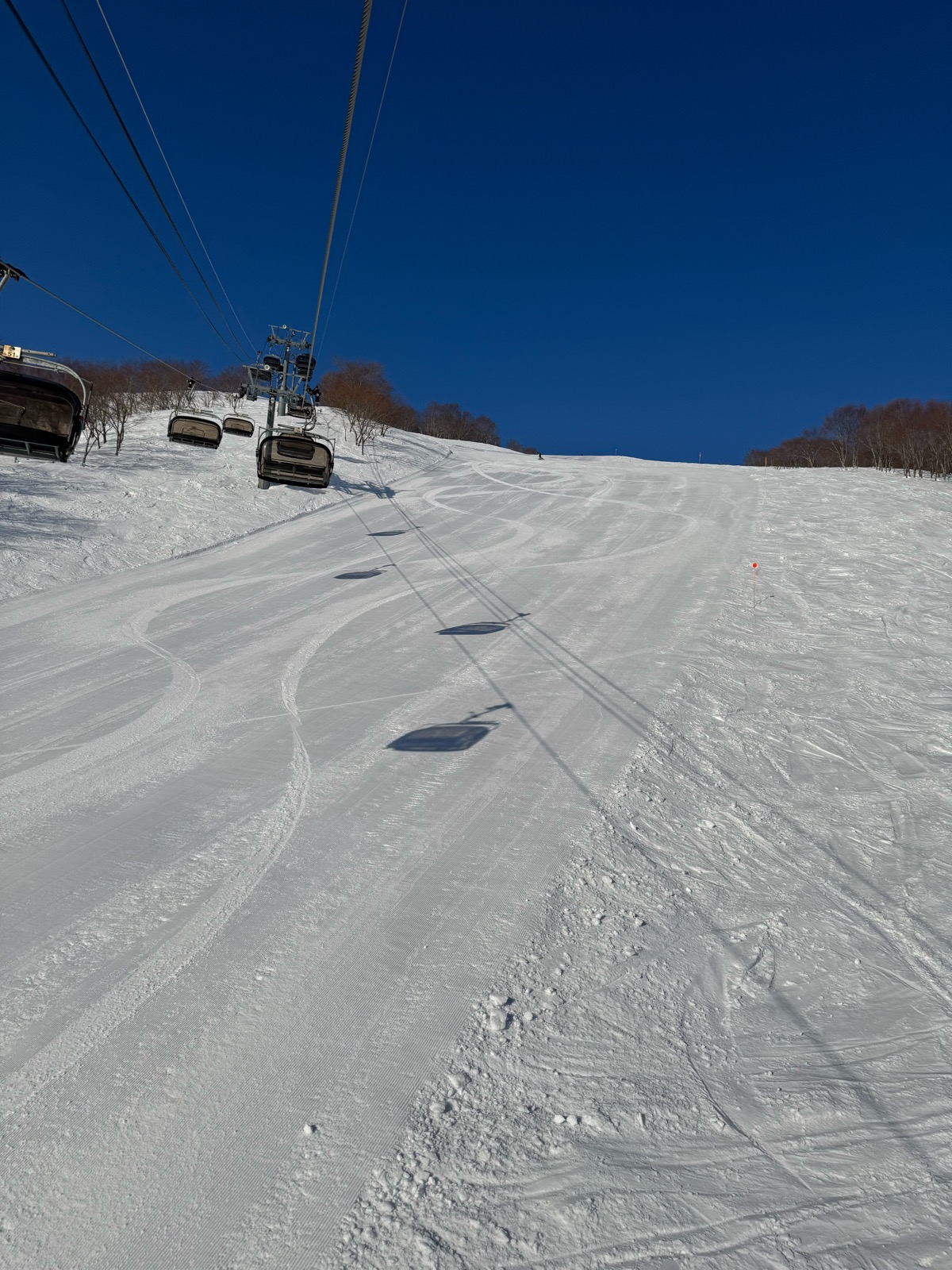 ロッテ アライリゾート