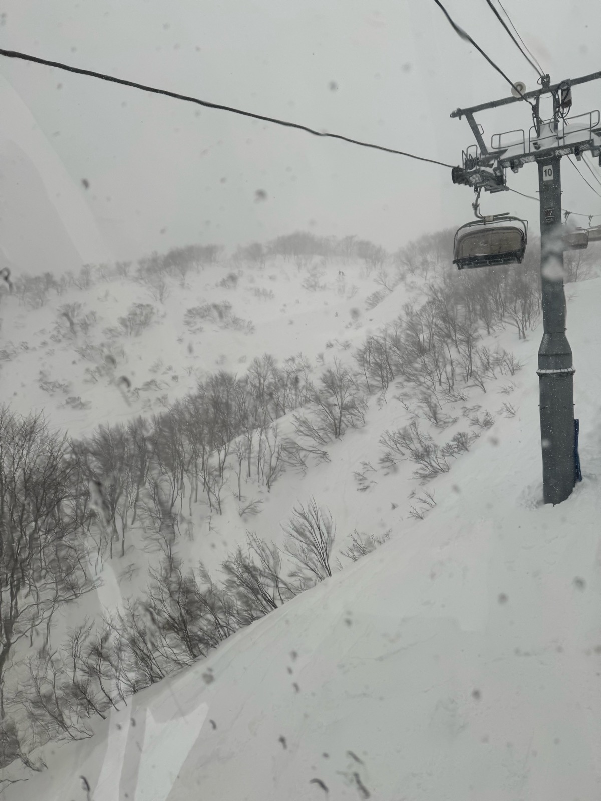 ロッテ アライリゾート