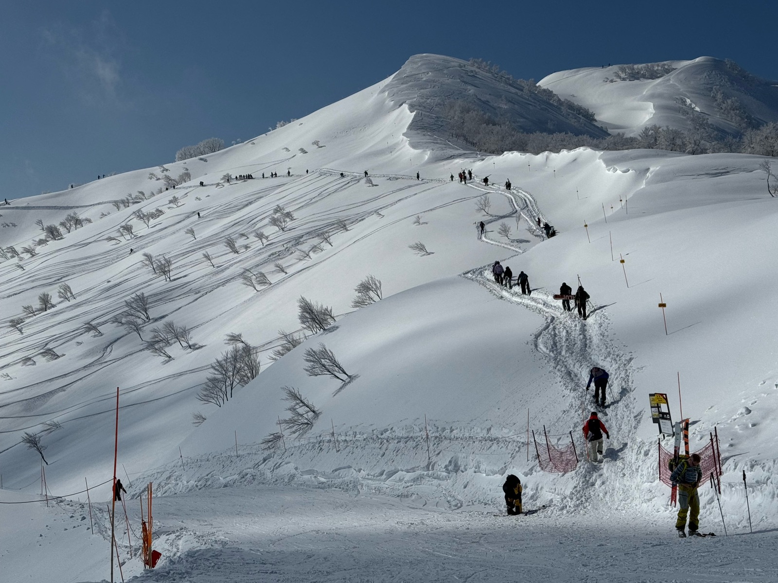 ロッテ アライリゾート