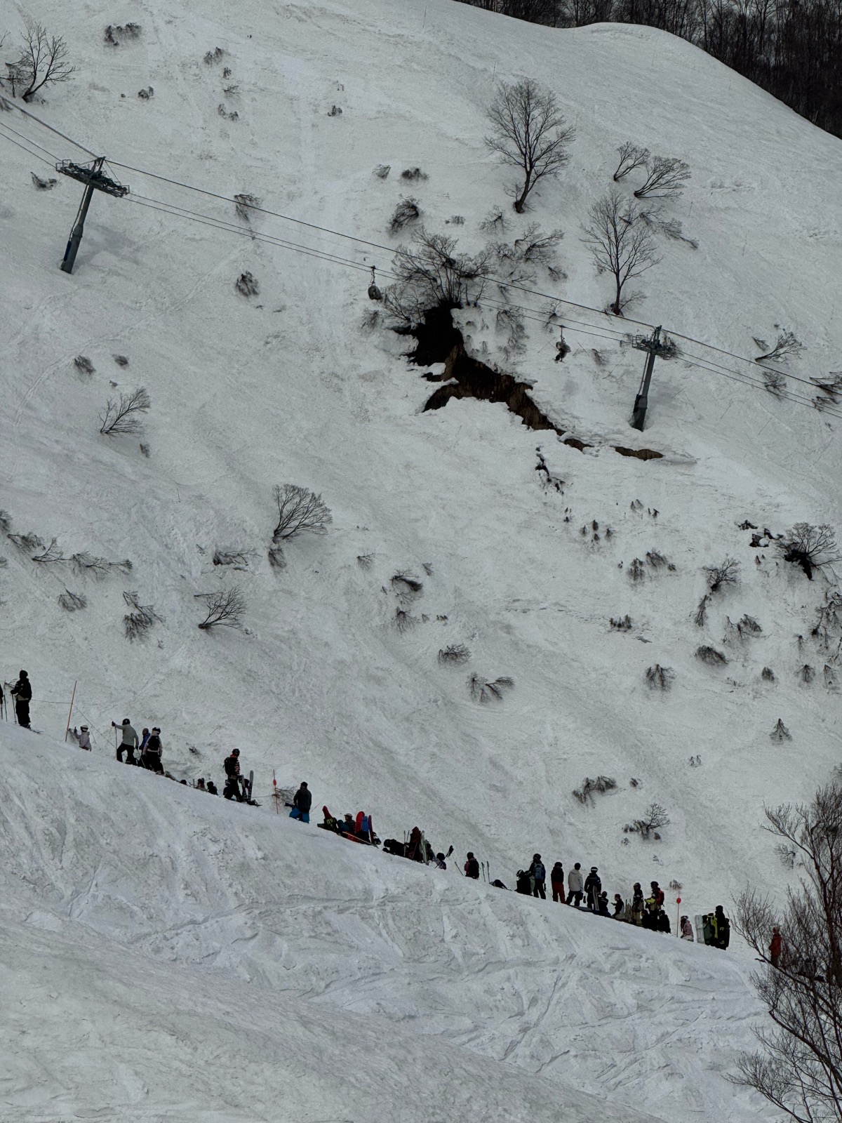 ロッテ アライリゾート