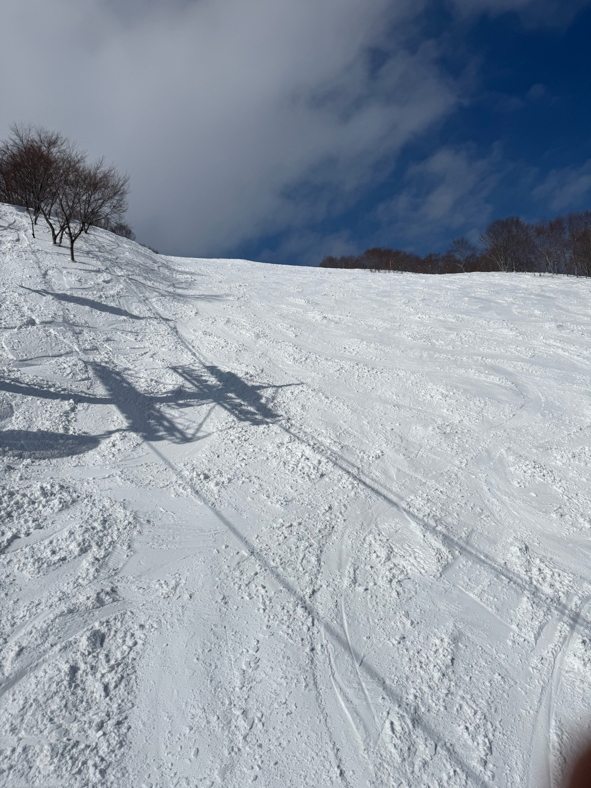 ロッテ アライリゾート