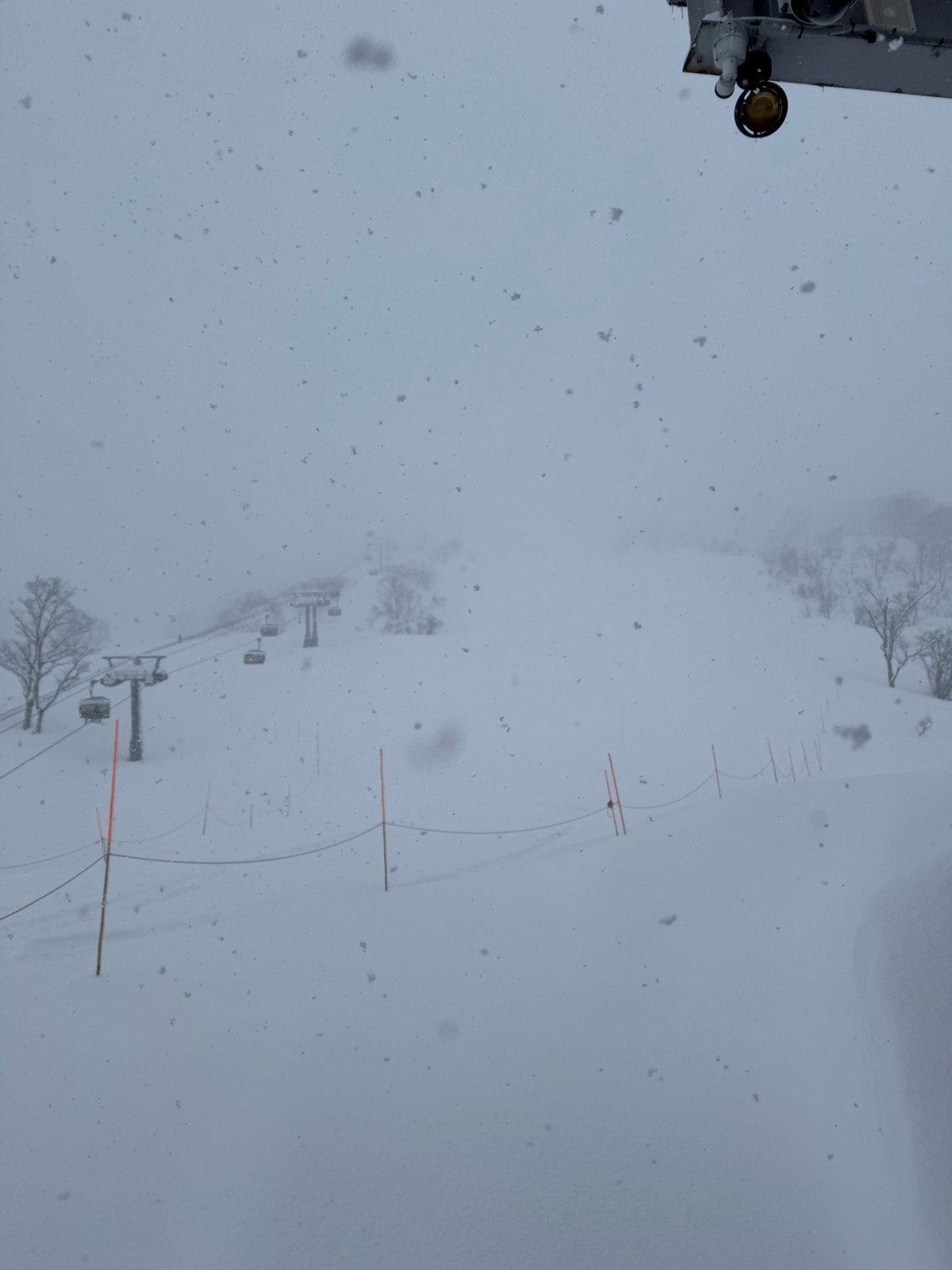 ロッテ アライリゾート