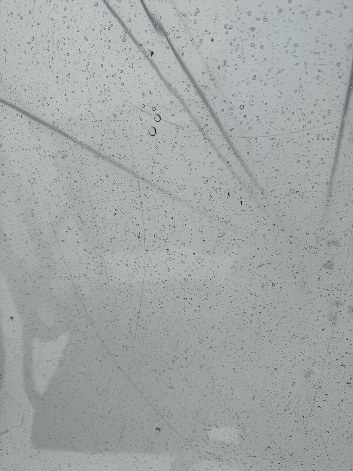 ロッテ アライリゾート