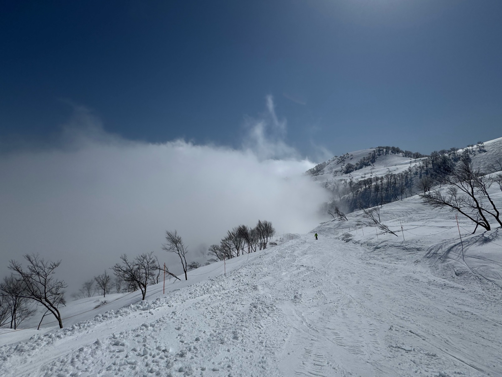 ロッテ アライリゾート