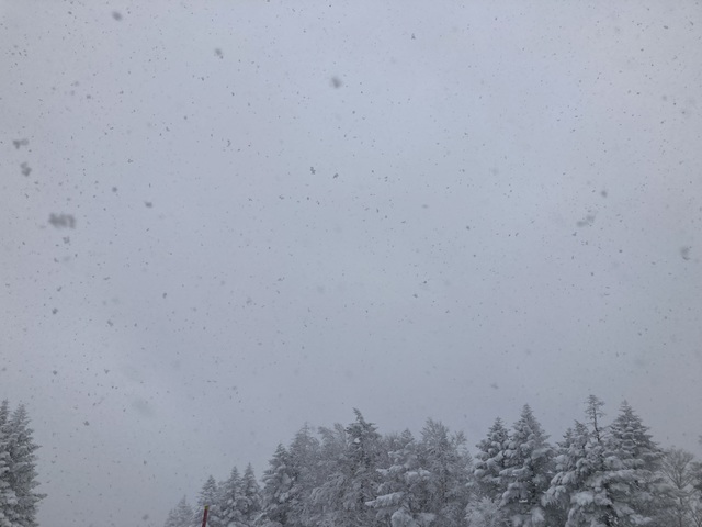 志賀高原 焼額山スキー場