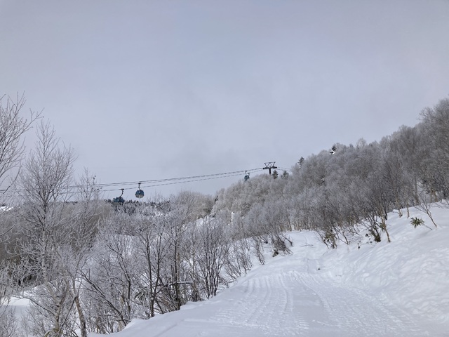 志賀高原 焼額山