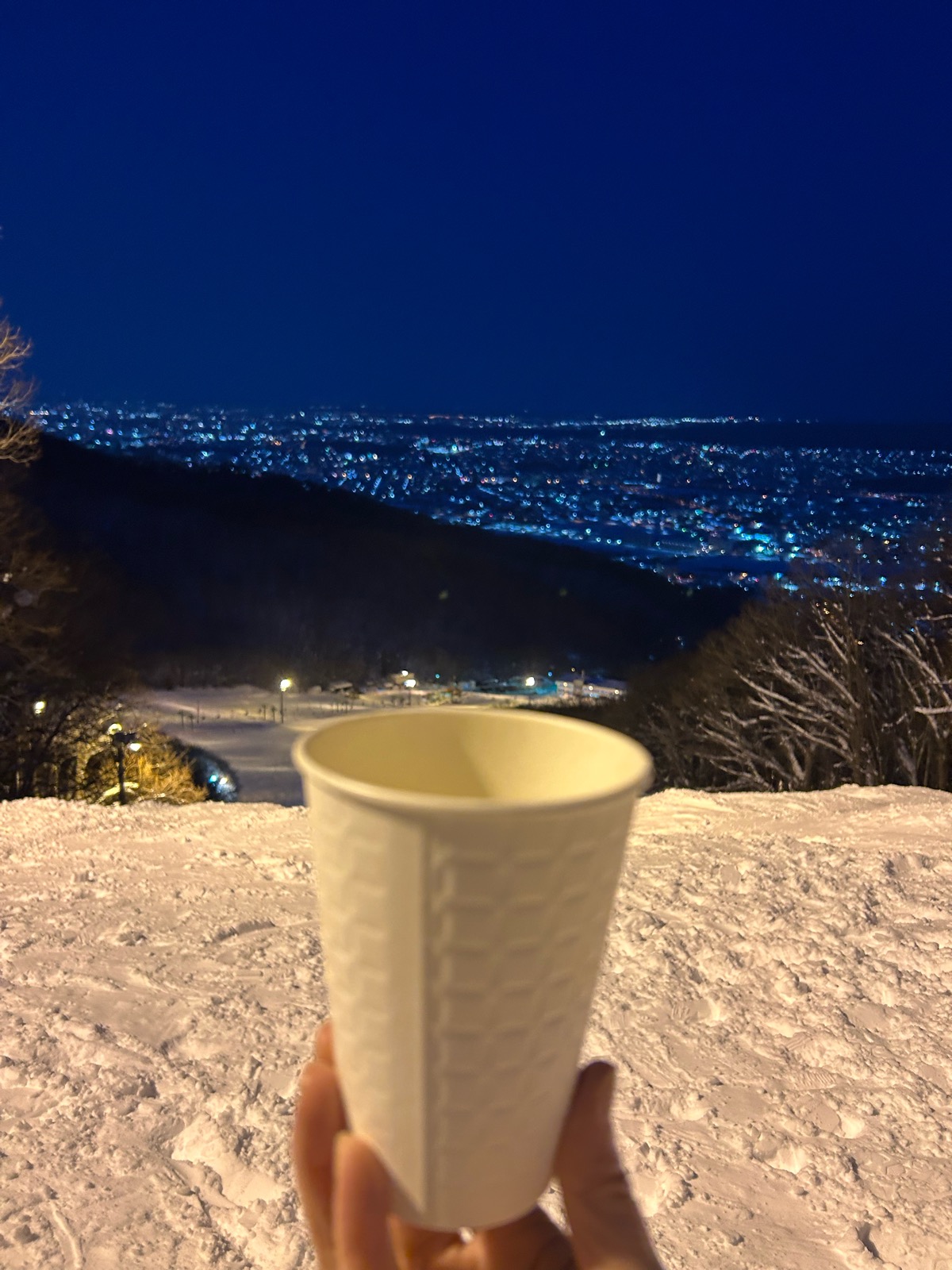 札幌藻岩山スキー場