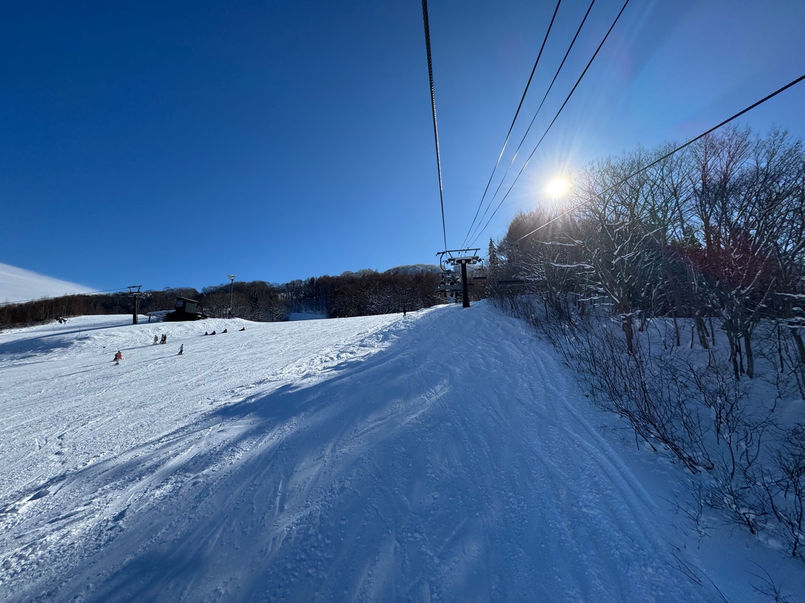 黒伏高原スノーパーク ジャングル・ジャングル