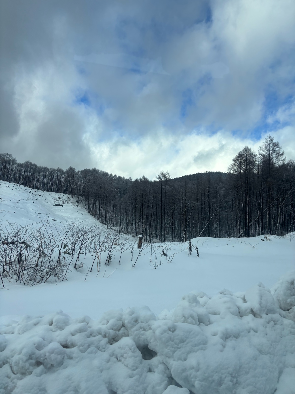 グランデコスノーリゾート