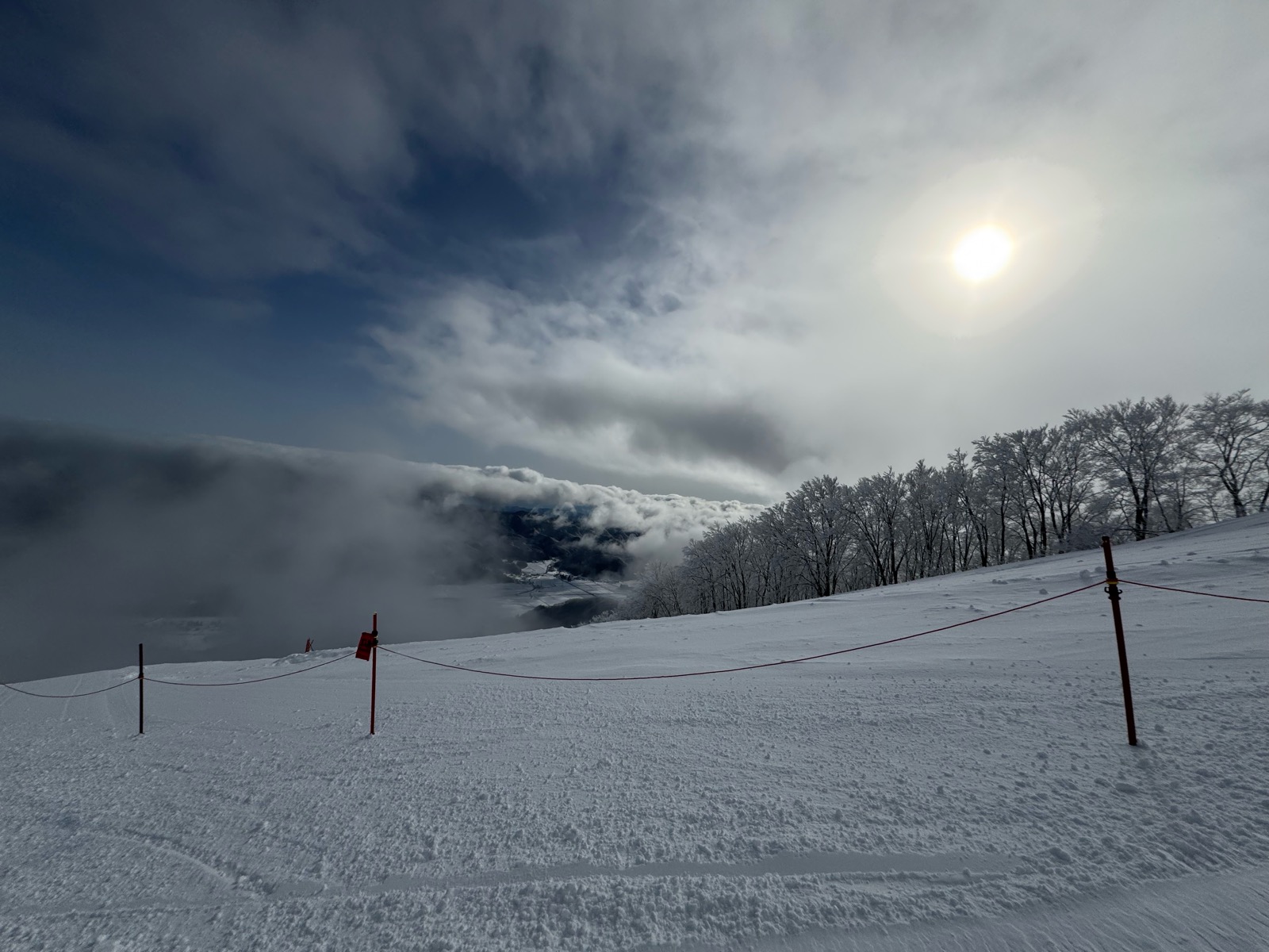 Hakuba47 ウィンタースポーツパーク