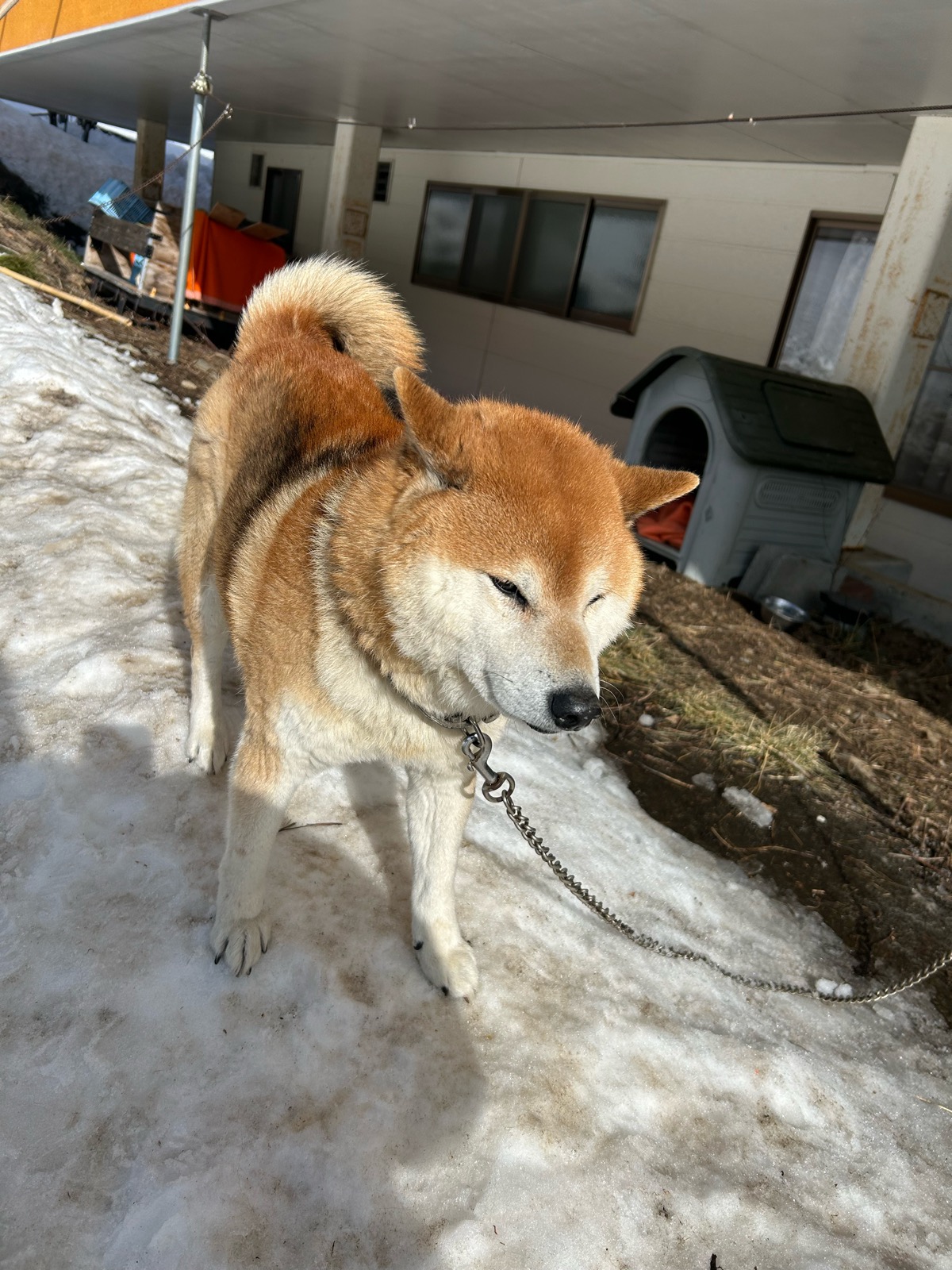 ホワイトワールド尾瀬岩鞍スキー場