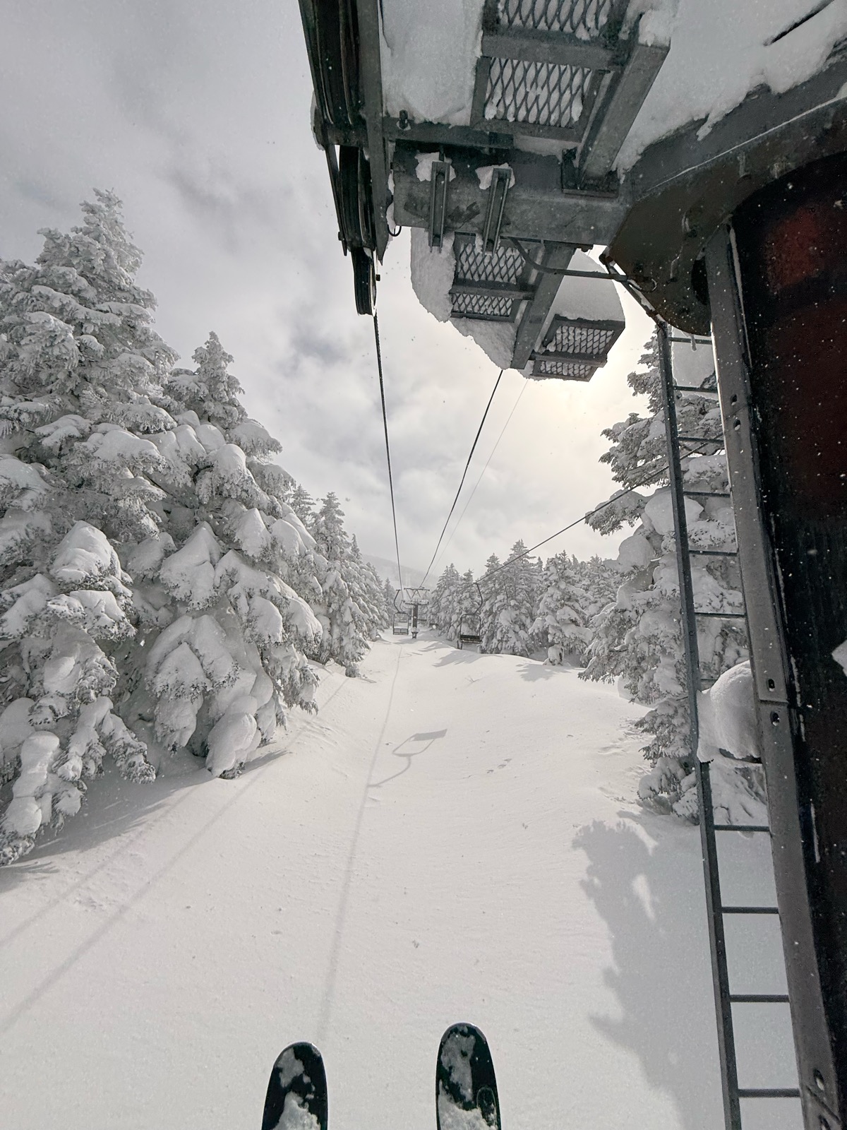 天元台高原スキー場