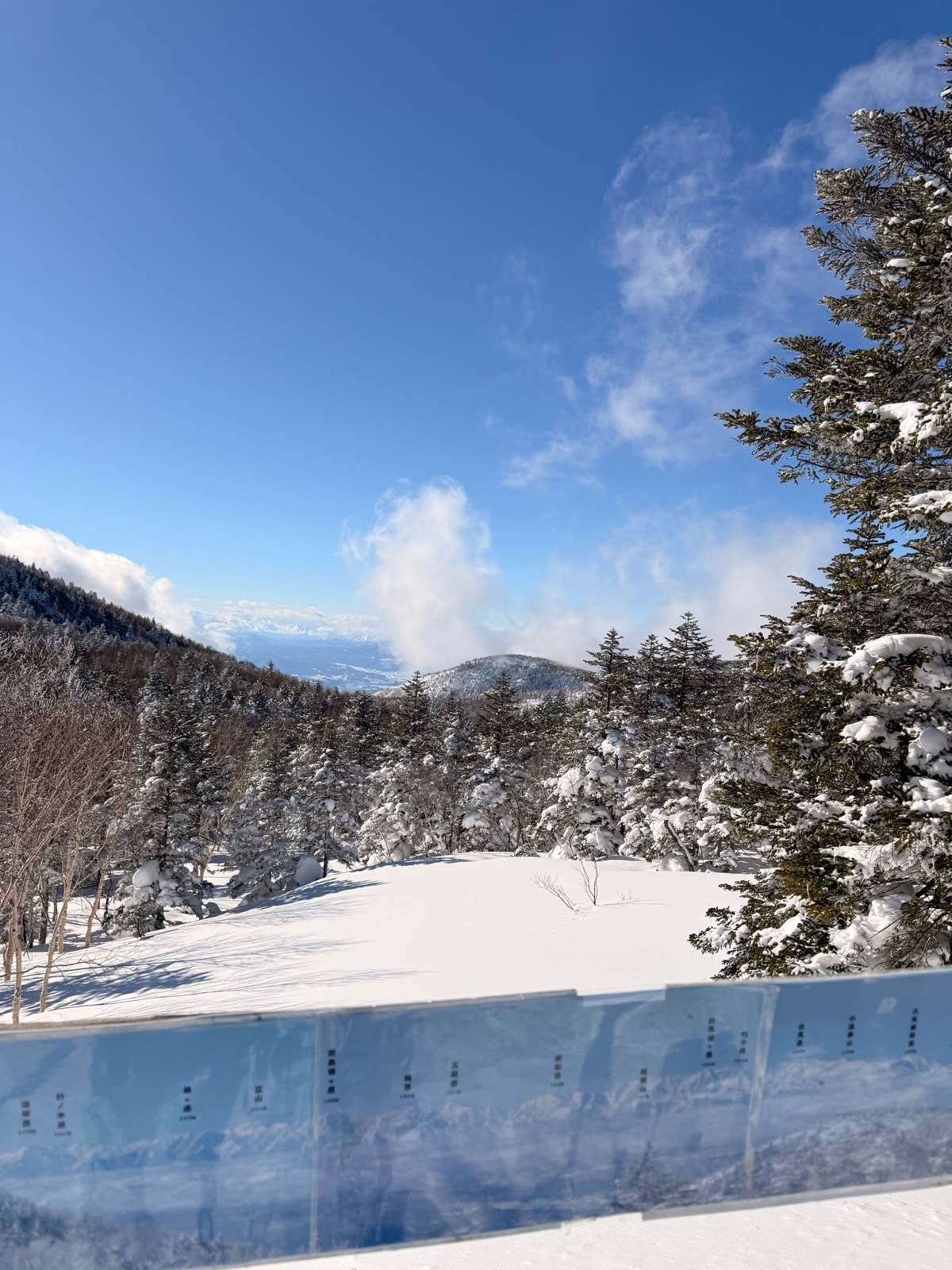 志賀高原 ジャイアント、西館山スキー場
