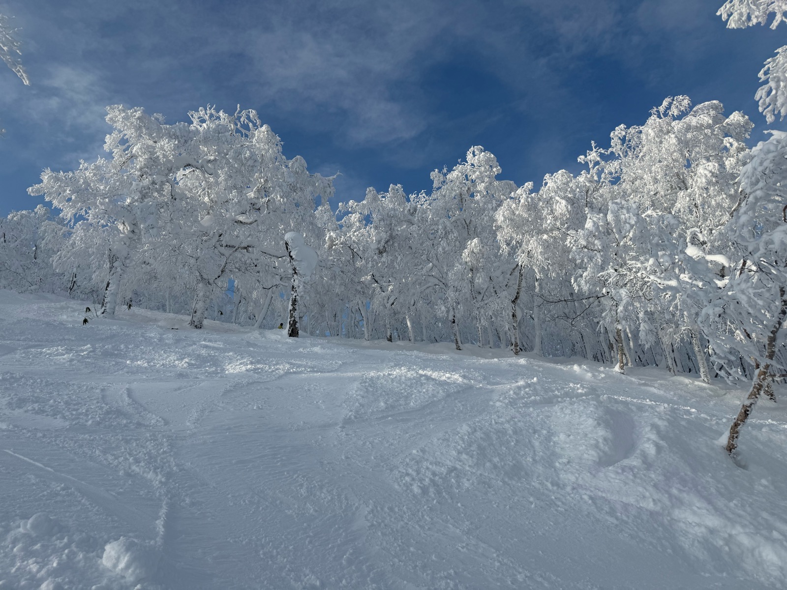 ルスツリゾート