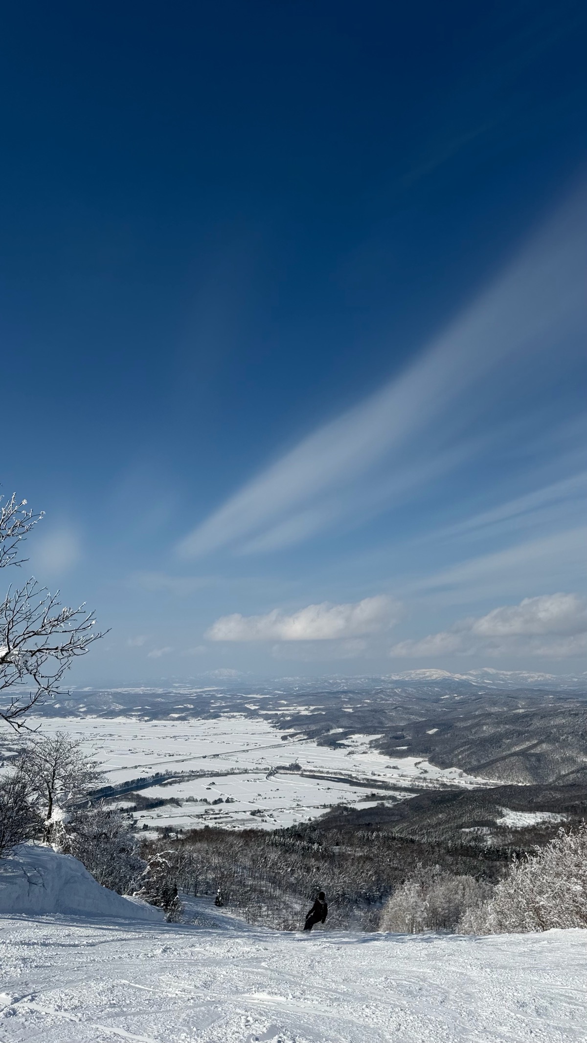カムイスキーリンクス