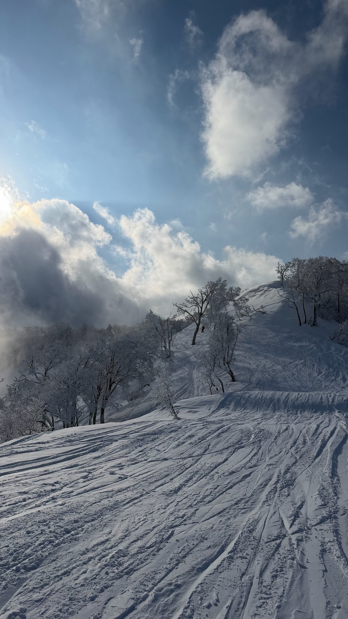 富良野スキー場