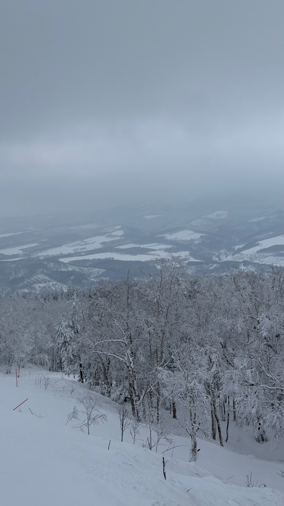 カムイスキーリンクス