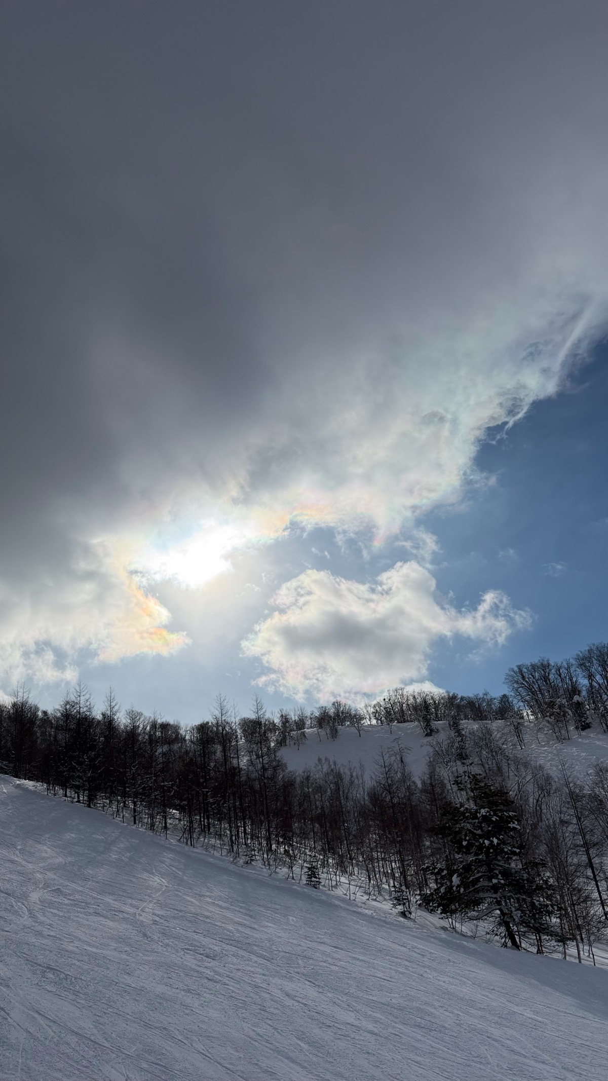 カムイスキーリンクス
