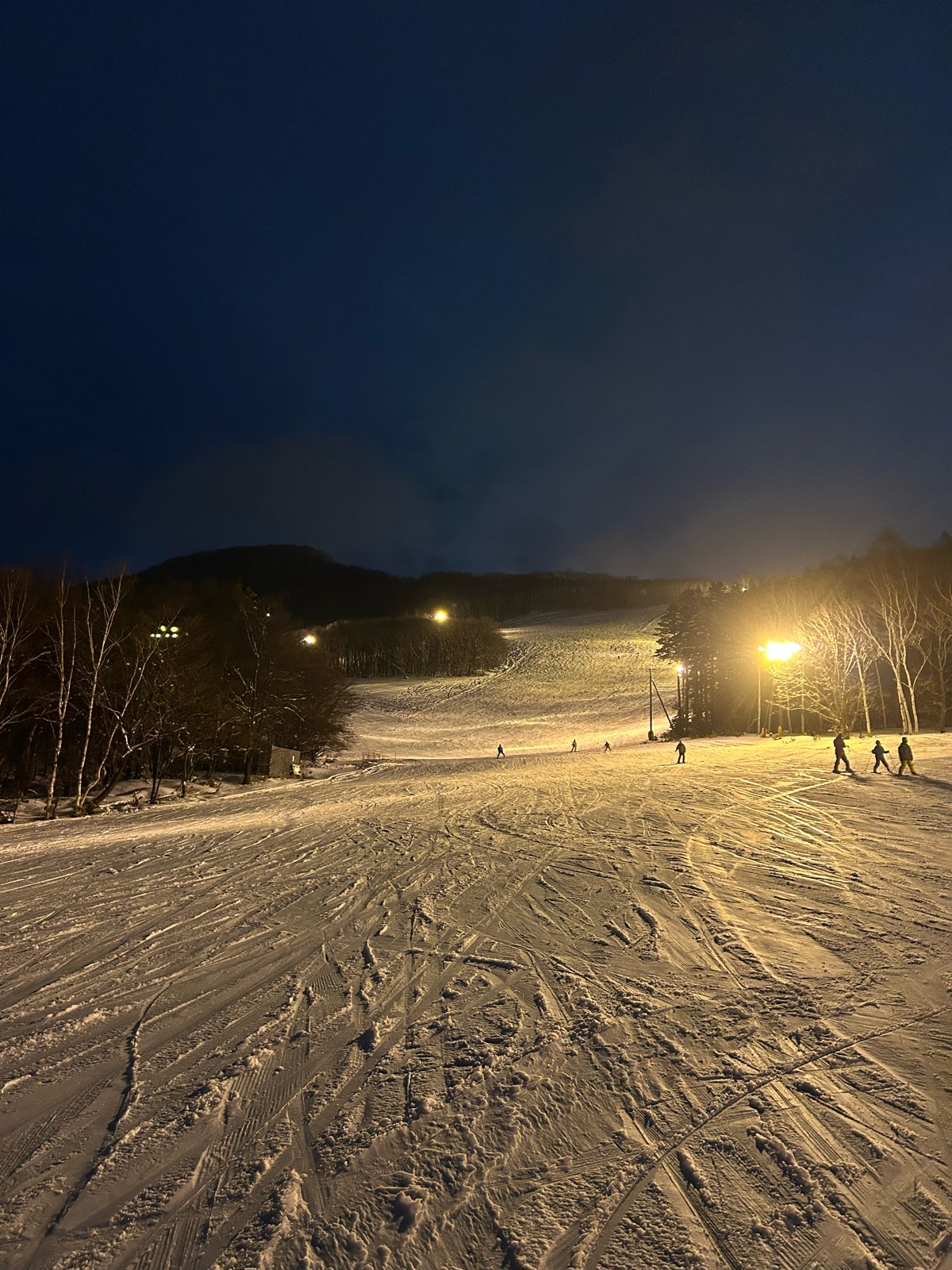 札幌藻岩山スキー場