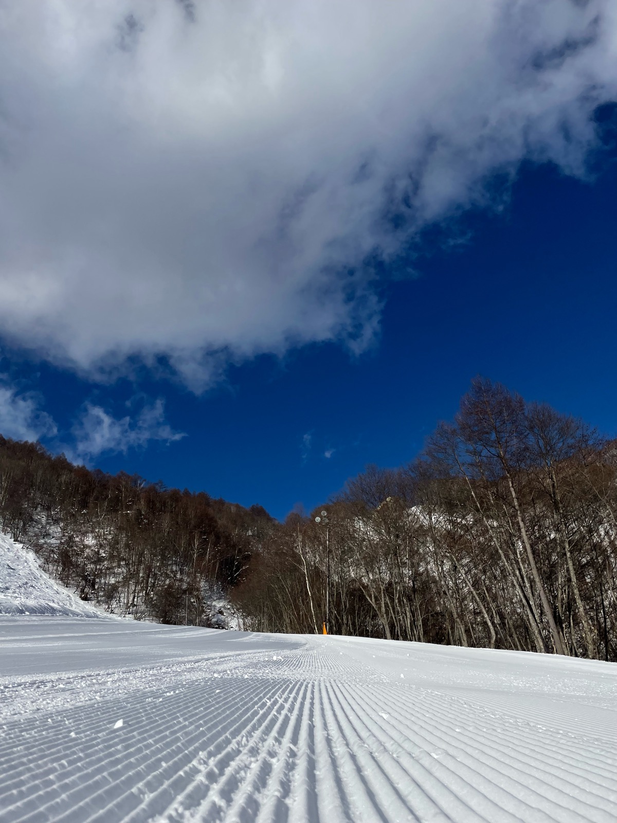 ホワイトワールド尾瀬岩鞍スキー場
