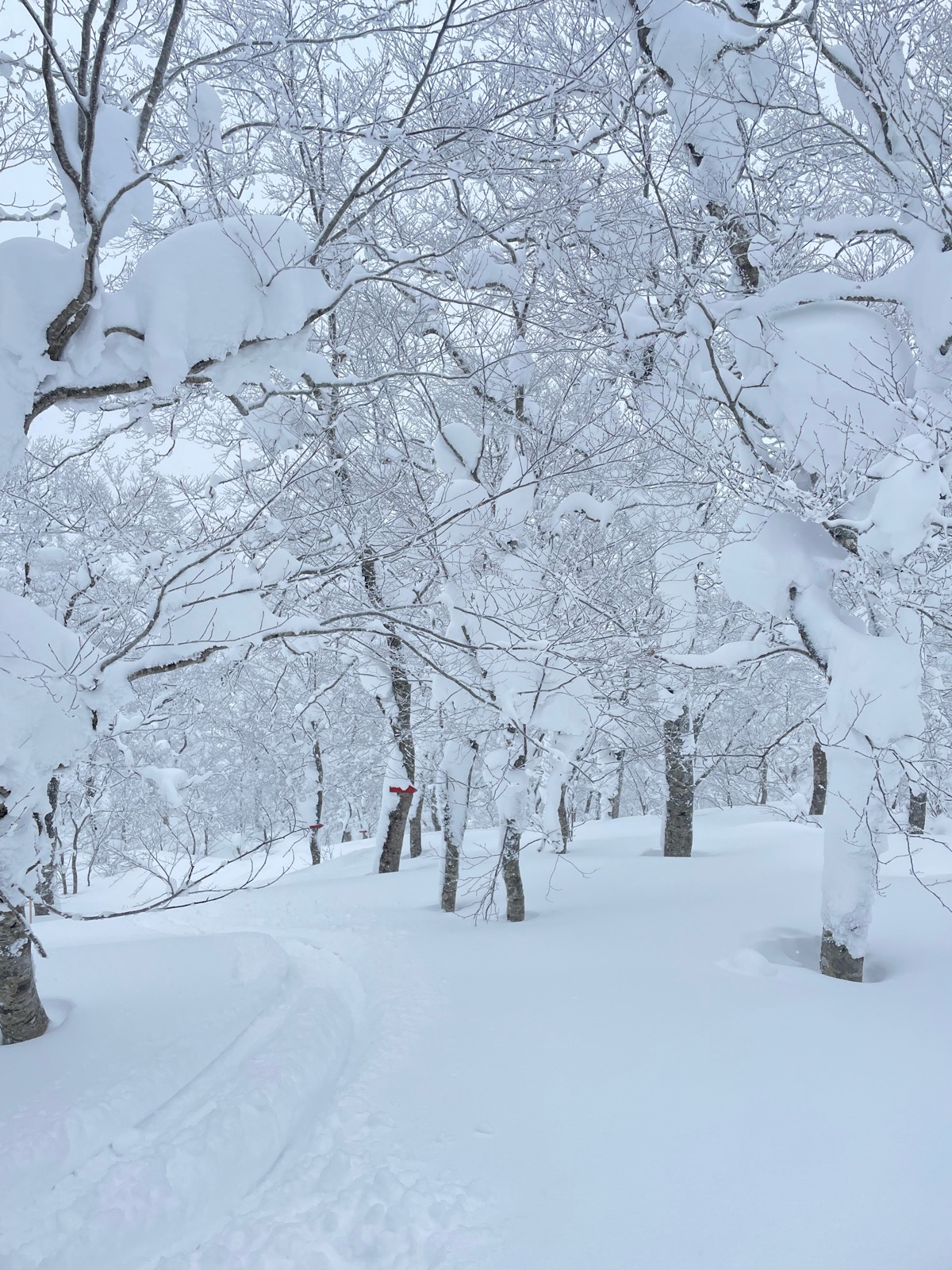夏油高原スキー場