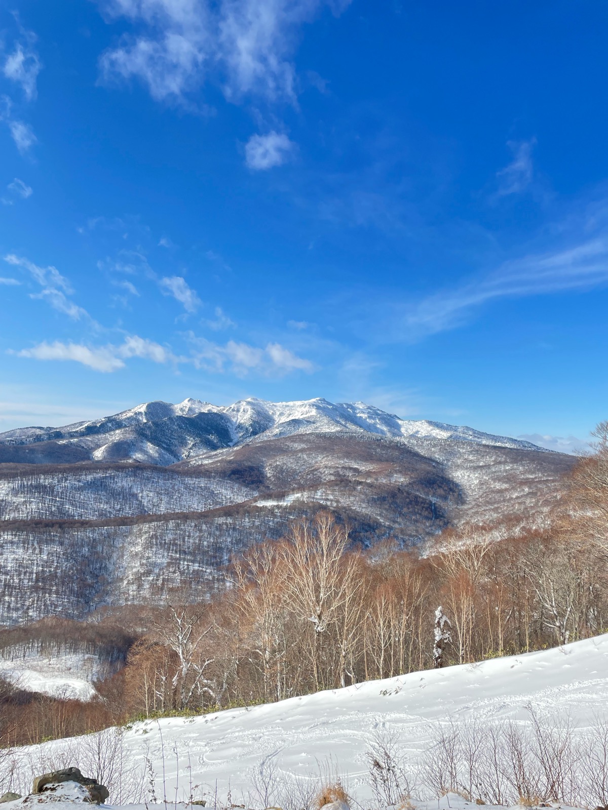 ホワイトワールド尾瀬岩鞍