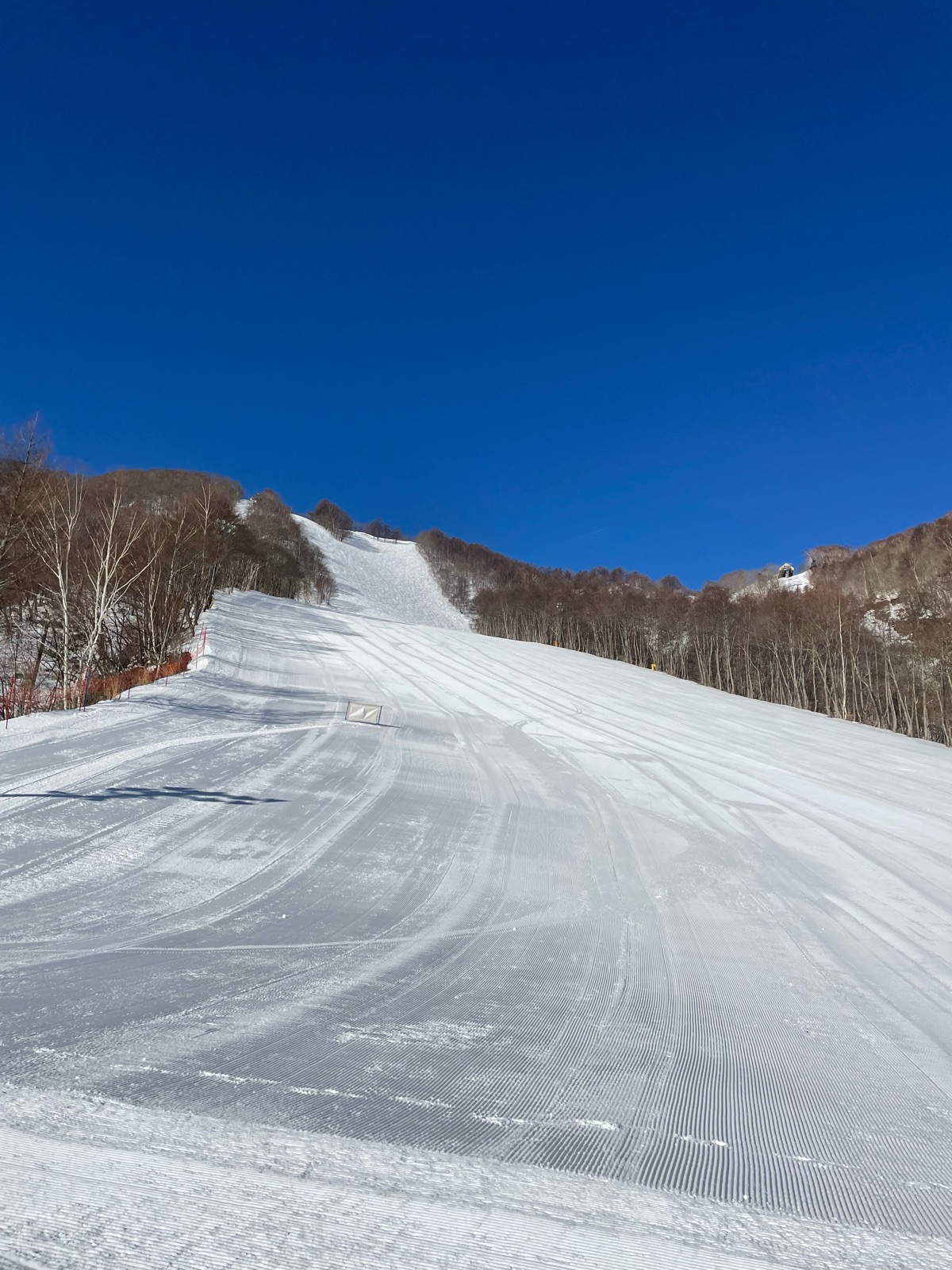 ホワイトワールド尾瀬岩鞍スキー場