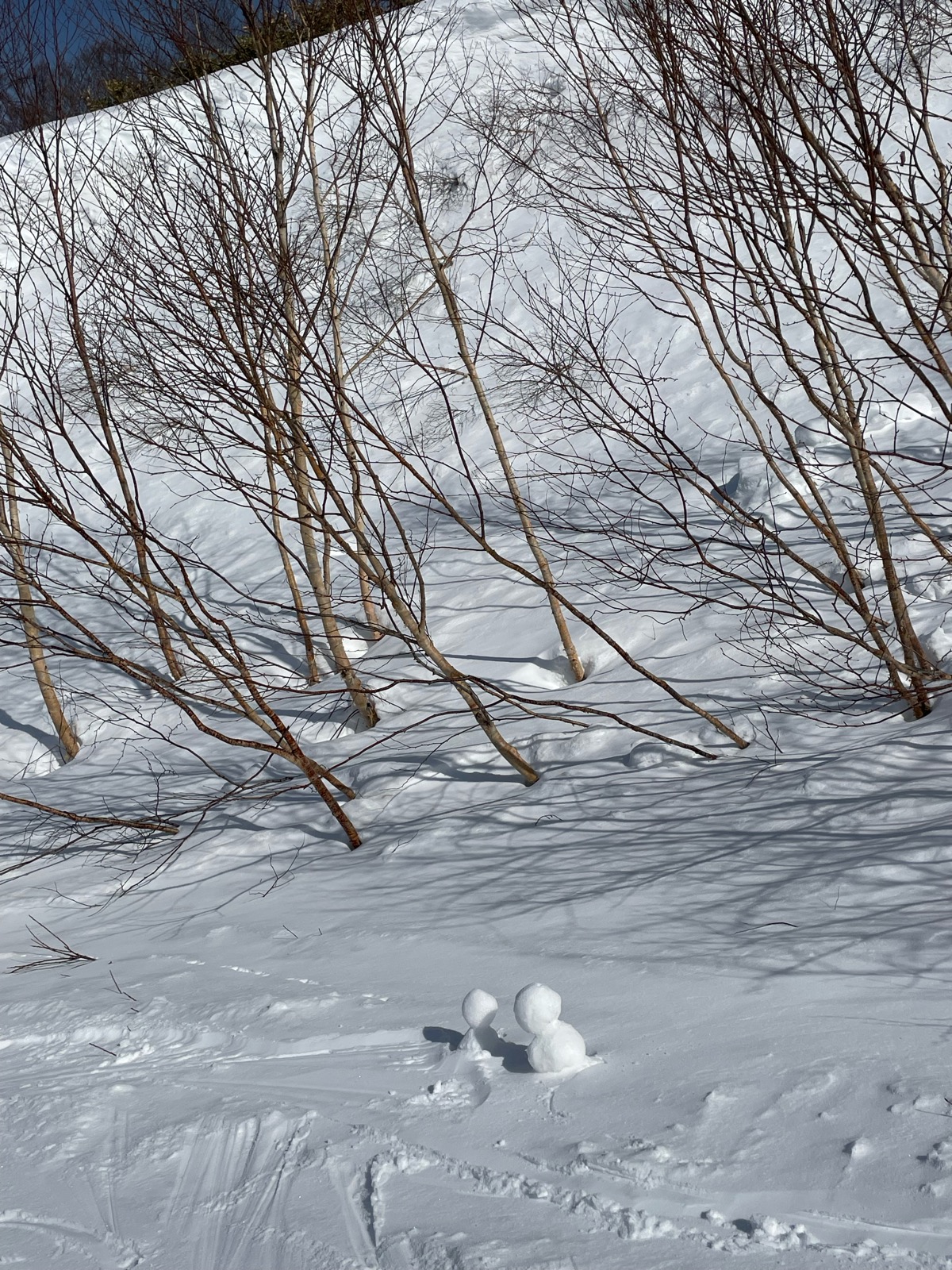 ホワイトワールド尾瀬岩鞍