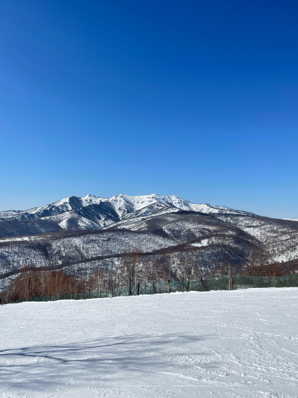 ホワイトワールド尾瀬岩鞍