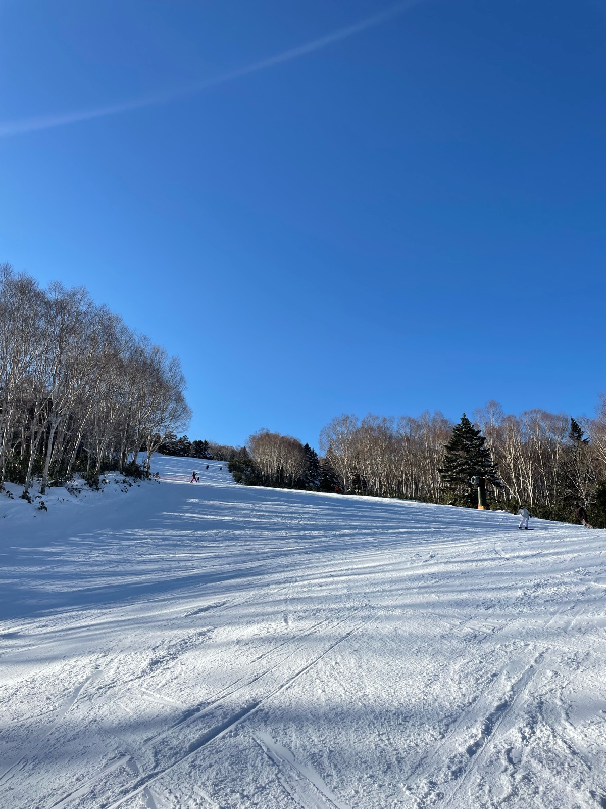 志賀高原 焼額山スキー場