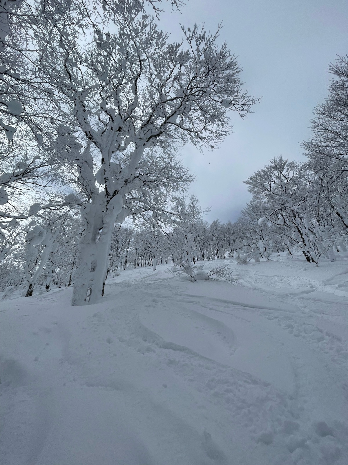 夏油高原スキー場