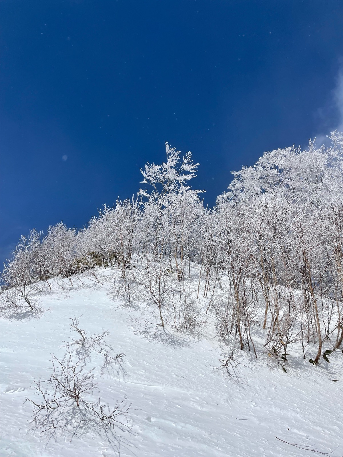 ホワイトワールド尾瀬岩鞍