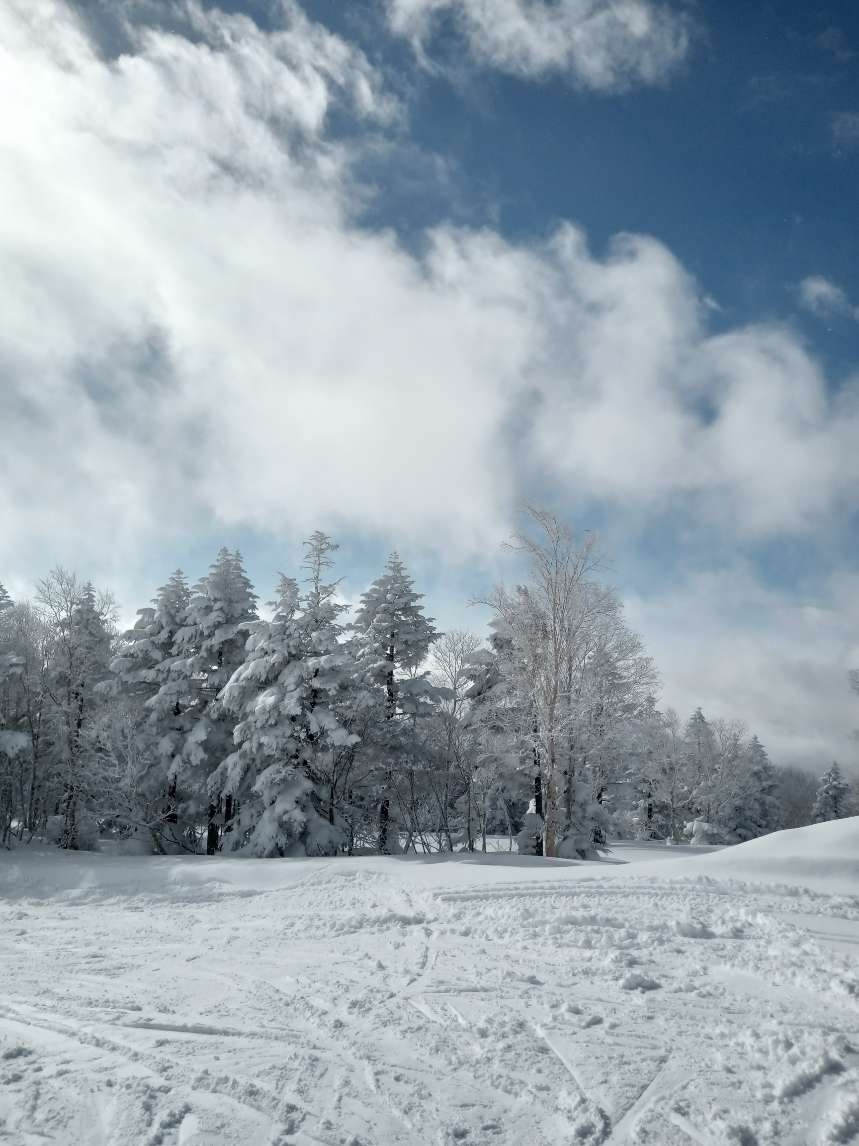 志賀高原 焼額山