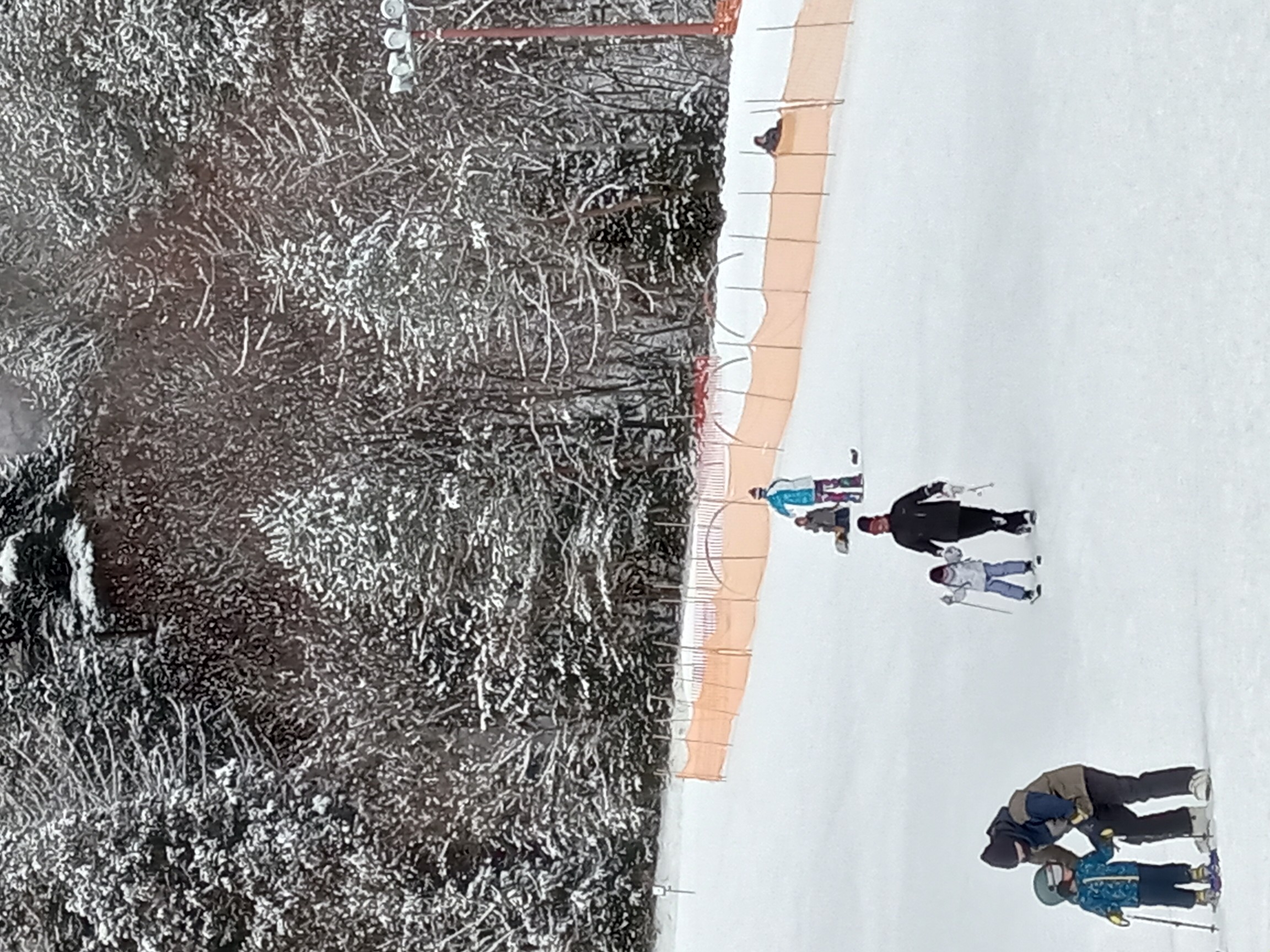 中央道 伊那スキーリゾート