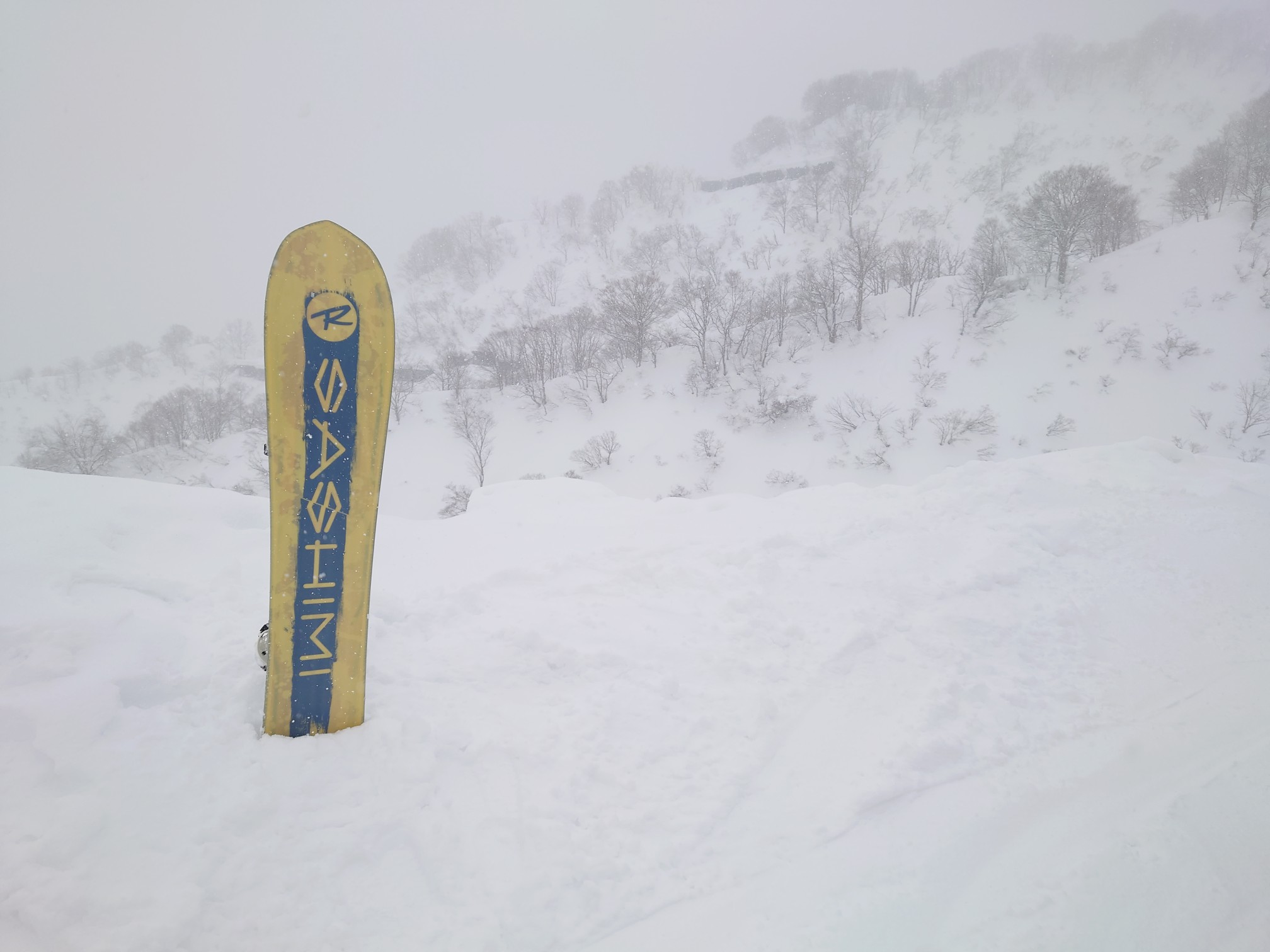 ロッテ アライリゾート