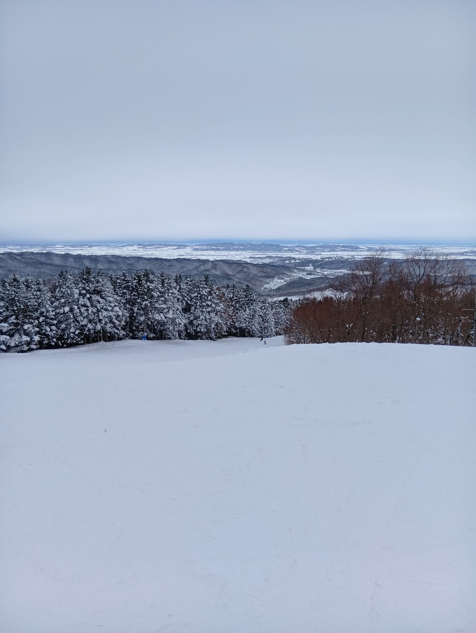 マウントレースイスキー場