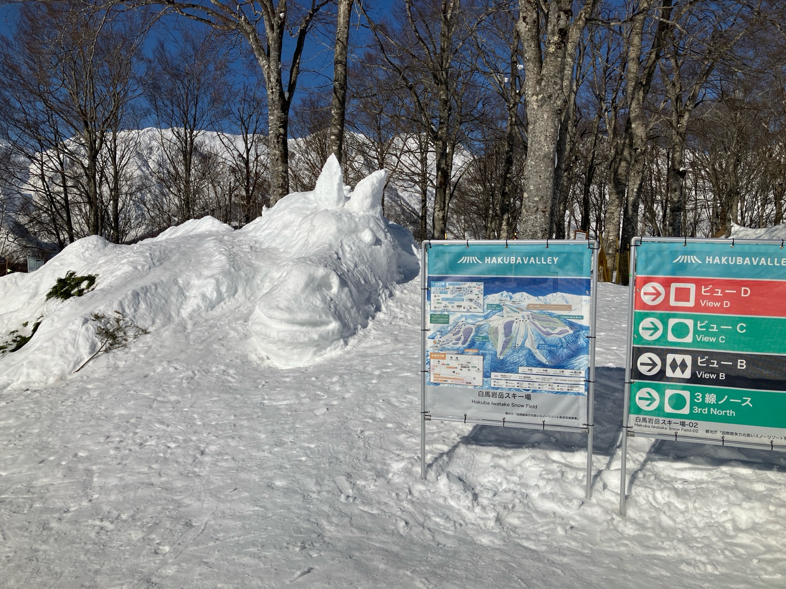 白馬岩岳スノーフィールド