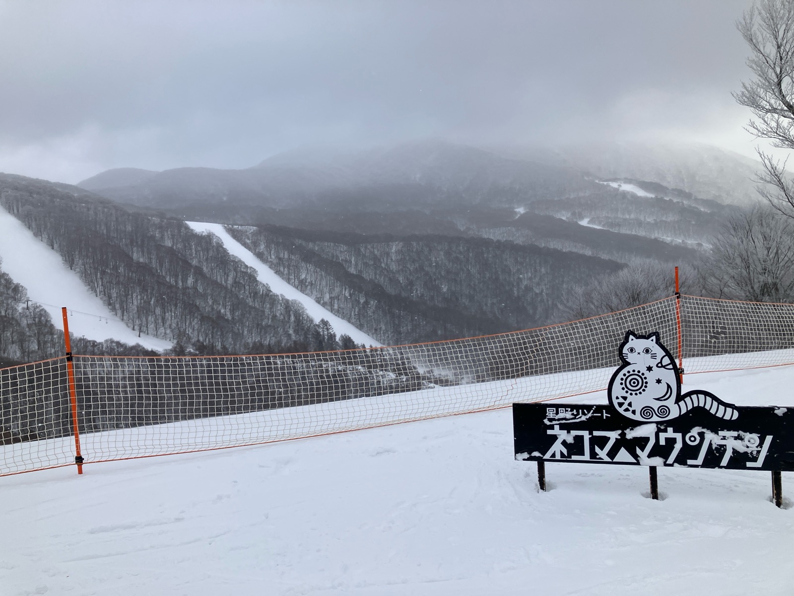 星野リゾート ネコマ マウンテン（南エリア）