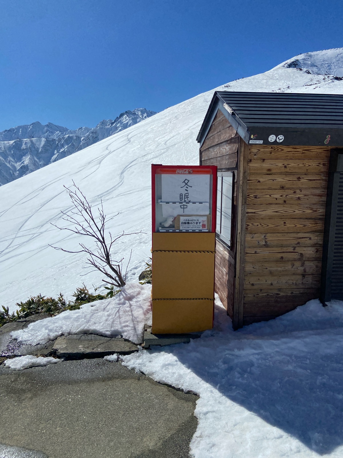 白馬八方尾根スキー場