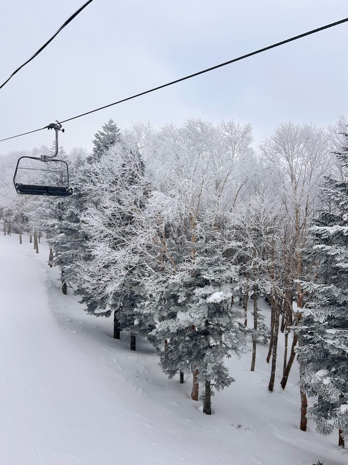 竜王スキーパーク