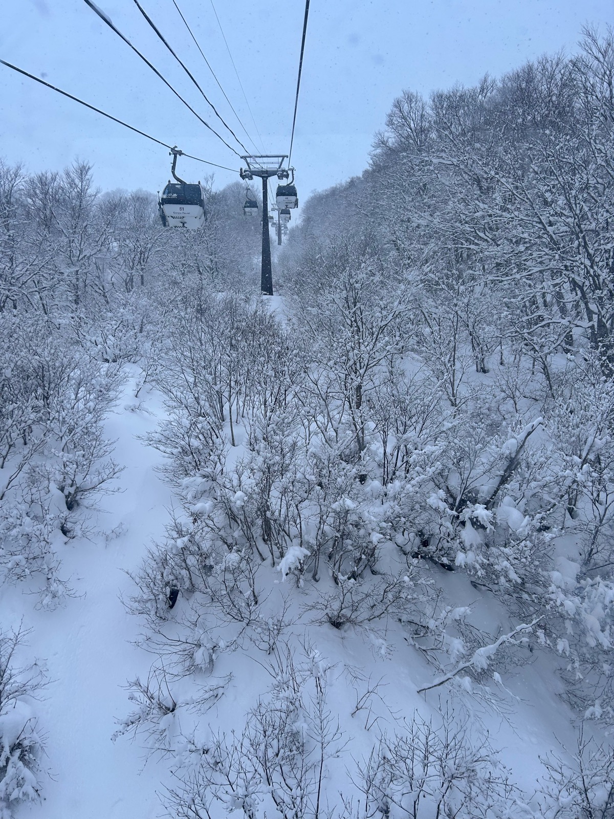 Hakuba47 ウィンタースポーツパーク 