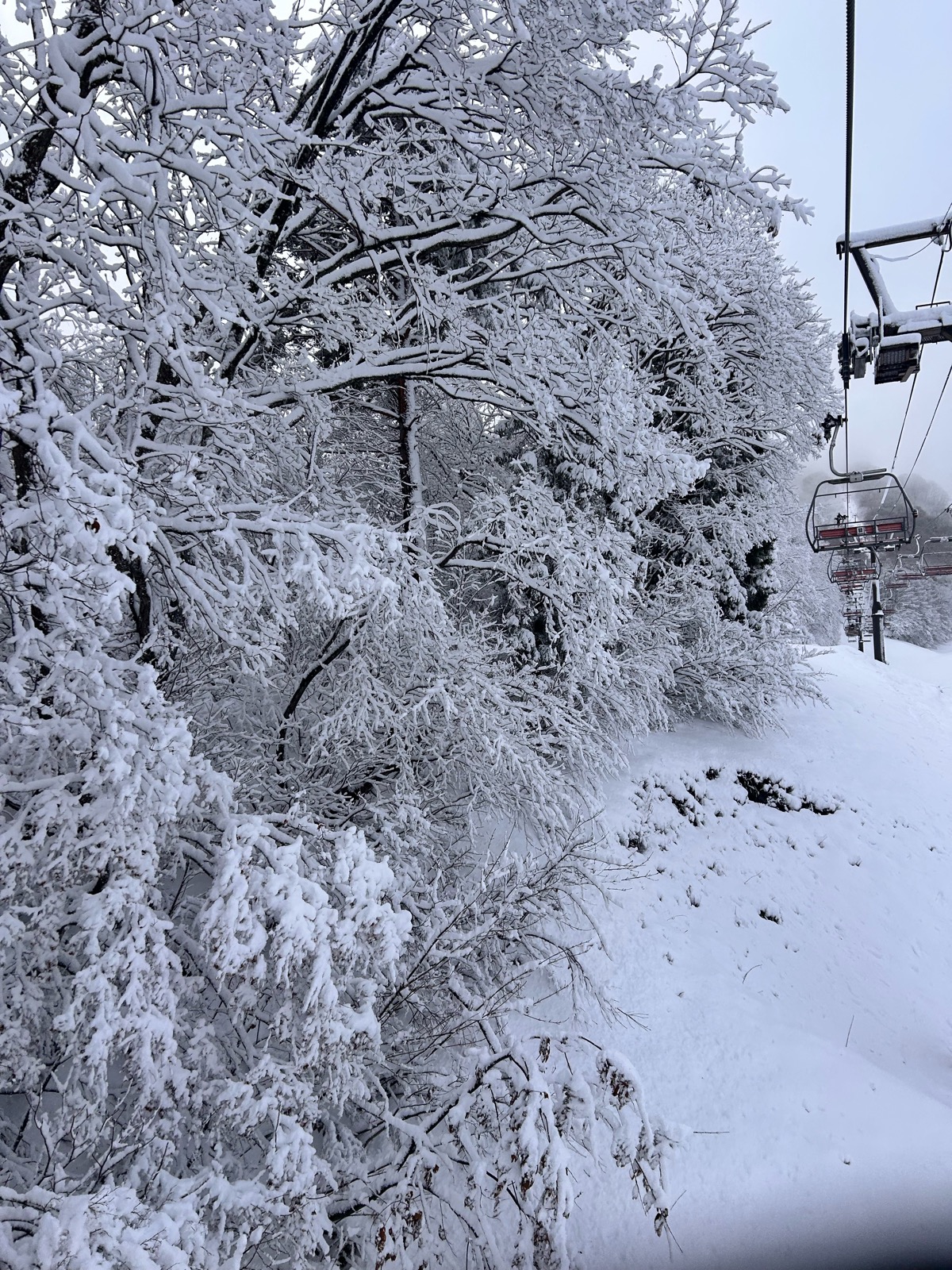 ロマンスの神様(旧:木島平)