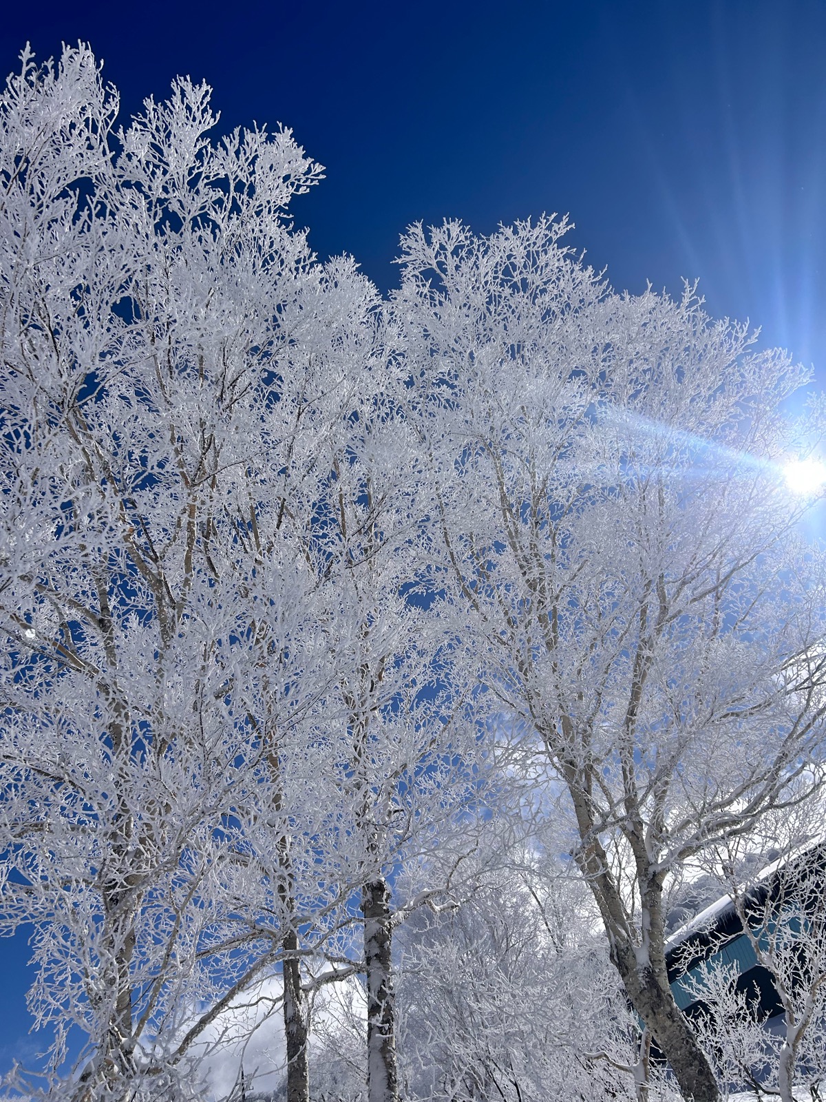 野沢温泉スキー場