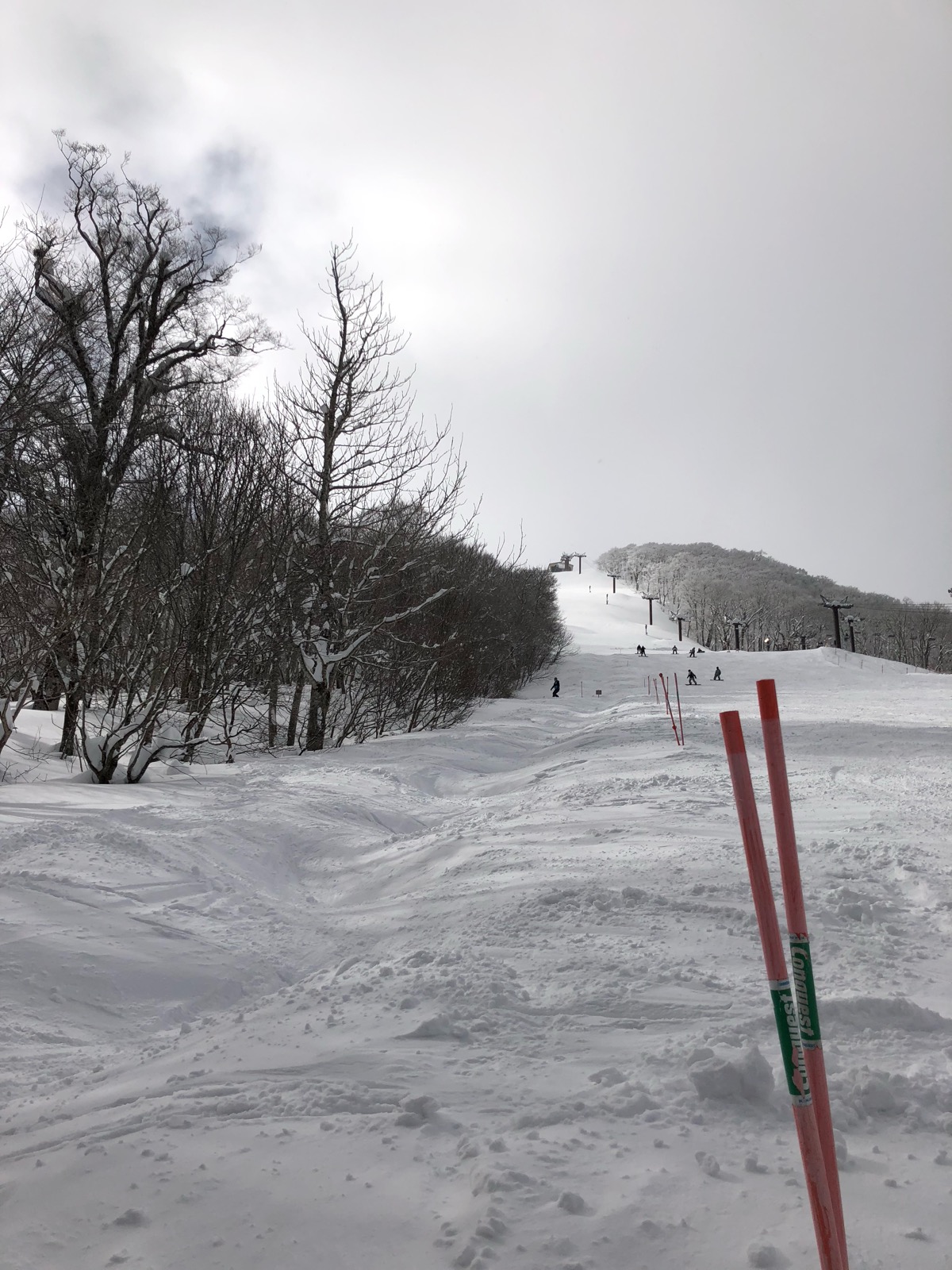 星野リゾート ネコマ マウンテン(北エリア)