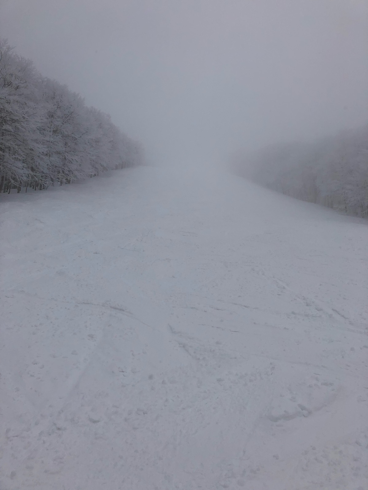星野リゾート ネコマ マウンテン（北エリア）
