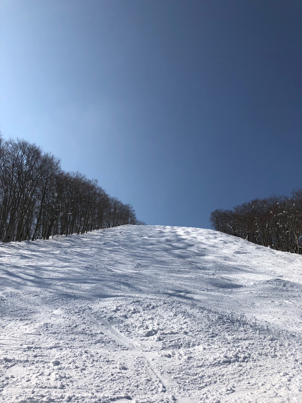 星野リゾート ネコマ マウンテン(北エリア)