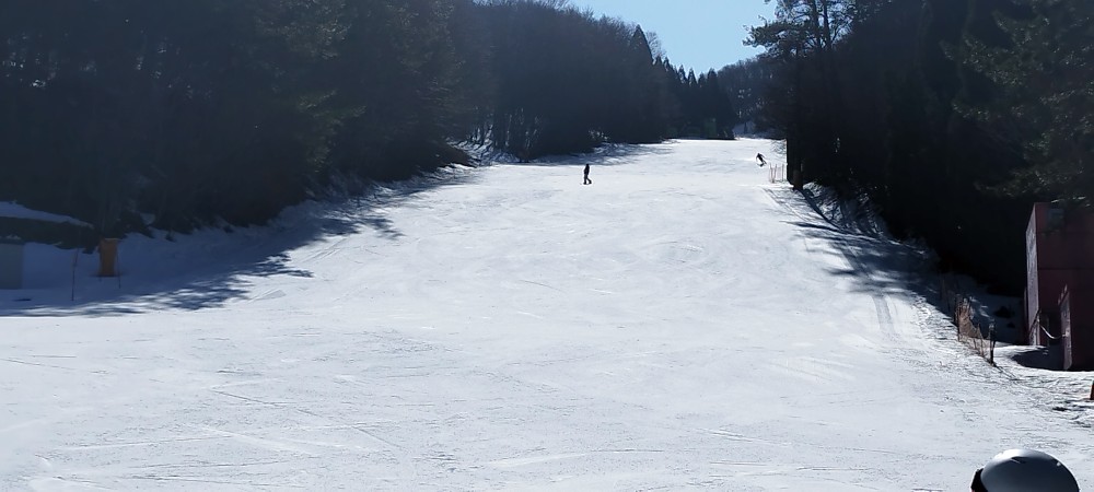 ユートピアサイオト