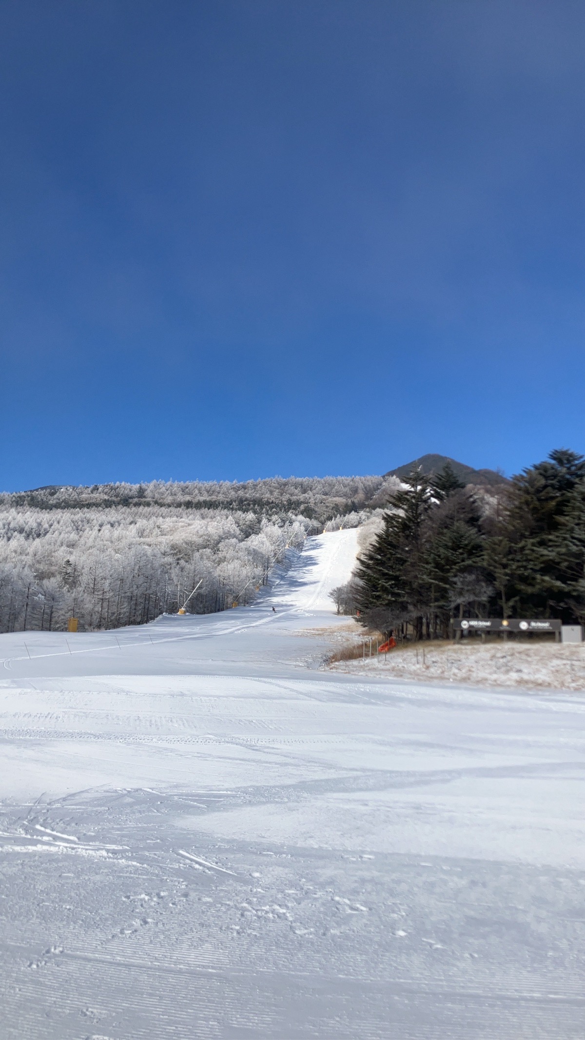 サンメドウズ清里スキー場