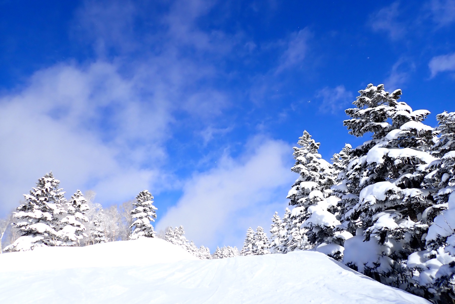 志賀高原 焼額山